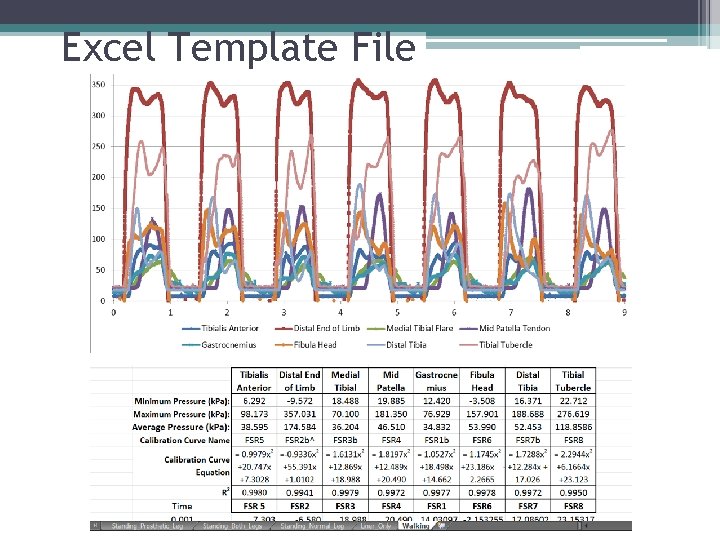 Excel Template File 