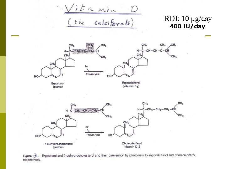RDI: 10 µg/day 400 l. U/day RDI: 10 µg/day 400 l. U/day