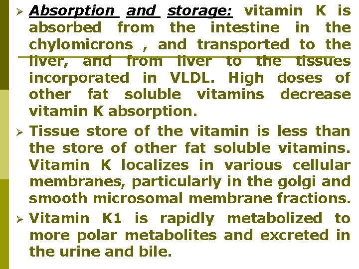 Ø Ø Ø Absorption and storage: vitamin K is absorbed from the intestine in Ø Ø Ø Absorption and storage: vitamin K is absorbed from the intestine in