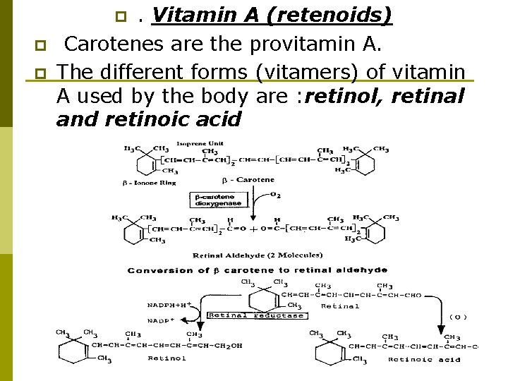 . Vitamin A (retenoids) Carotenes are the provitamin A. The different forms (vitamers) of . Vitamin A (retenoids) Carotenes are the provitamin A. The different forms (vitamers) of
