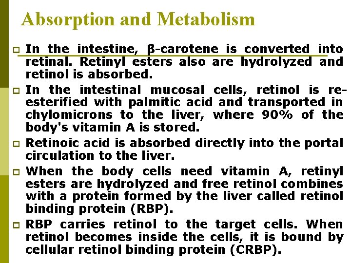 Absorption and Metabolism p p p In the intestine, β-carotene is converted into retinal. Absorption and Metabolism p p p In the intestine, β-carotene is converted into retinal.