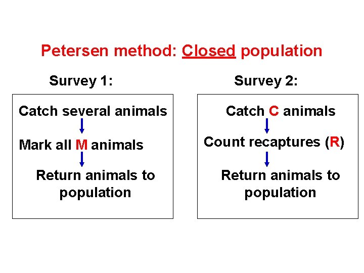 Petersen method: Closed population Survey 1: Catch several animals Mark all M animals Return