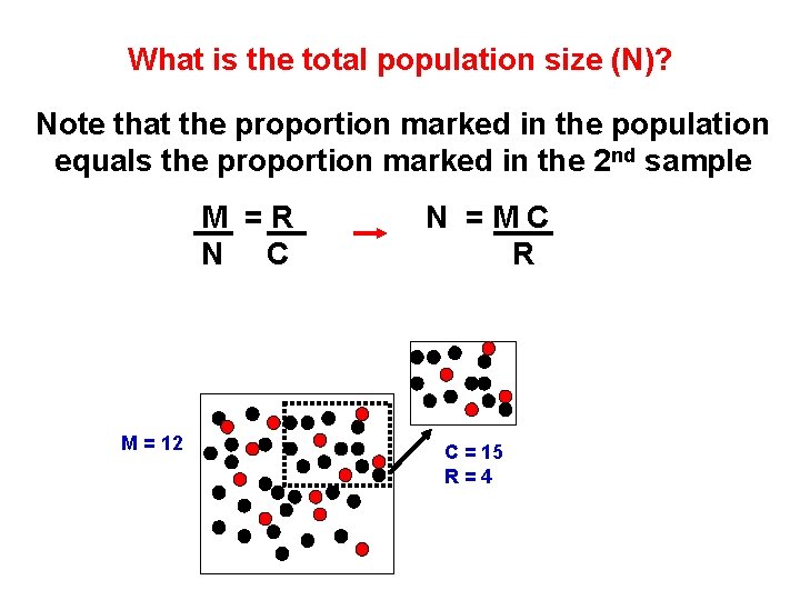 What is the total population size (N)? Note that the proportion marked in the