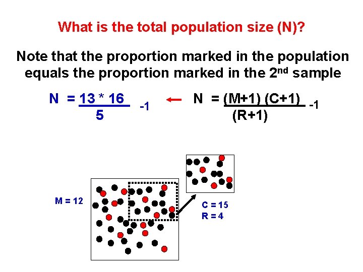 What is the total population size (N)? Note that the proportion marked in the