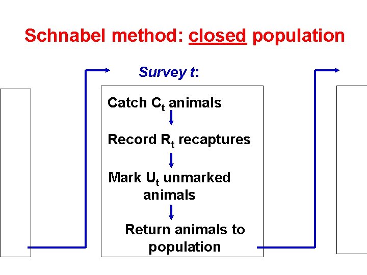 Schnabel method: closed population Survey t: Catch Ct animals Record Rt recaptures Mark Ut