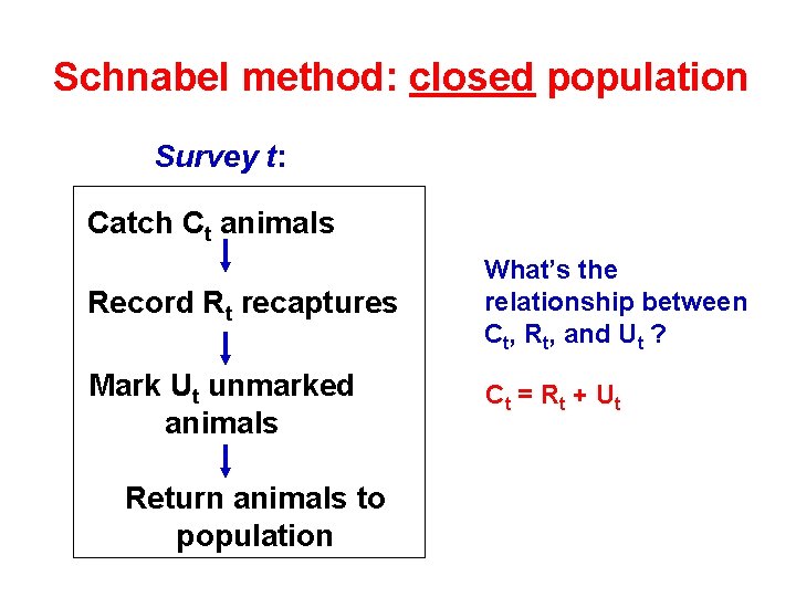 Schnabel method: closed population Survey t: Catch Ct animals Record Rt recaptures What’s the