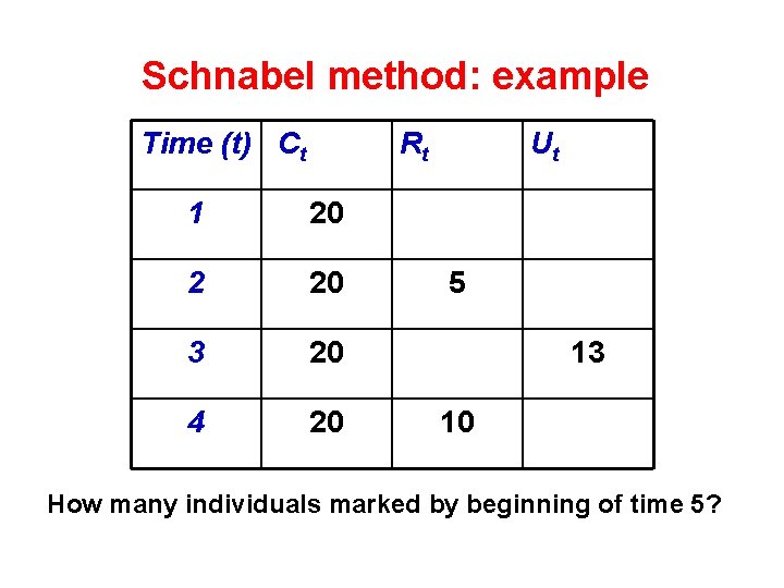 Schnabel method: example Time (t) Ct Rt 1 20 2 20 3 20 4