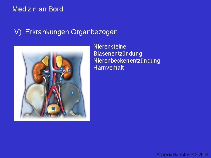 Medizin an Bord V) Erkrankungen Organbezogen Nierensteine Blasenentzündung Nierenbeckenentzündung Harnverhalt Andreas Hablützel 9 -3