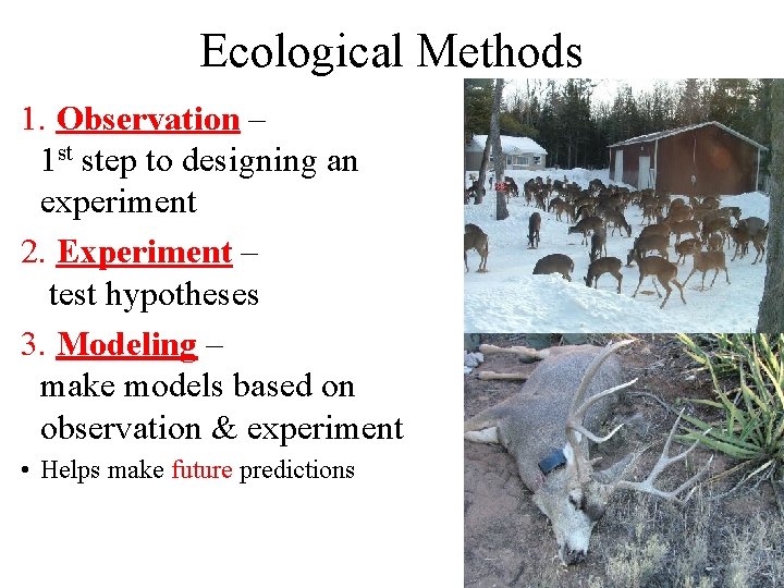 Ecological Methods 1. Observation – 1 st step to designing an experiment 2. Experiment