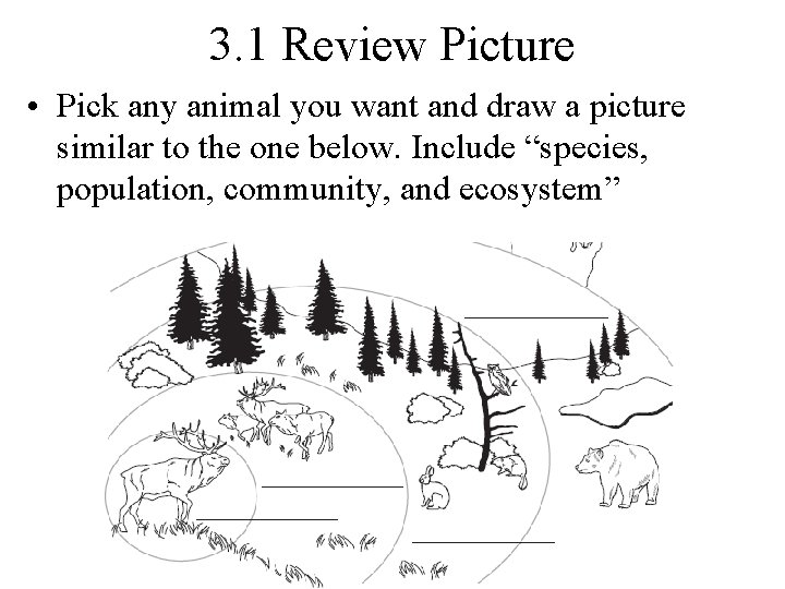 3. 1 Review Picture • Pick any animal you want and draw a picture