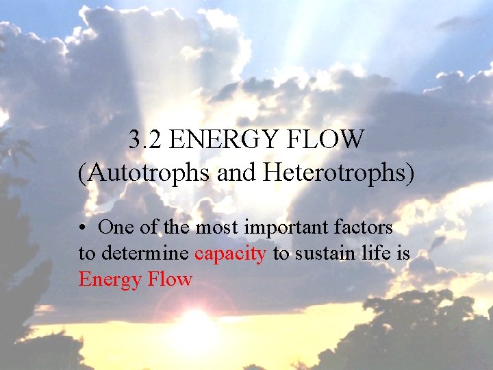 3. 2 ENERGY FLOW (Autotrophs and Heterotrophs) • One of the most important factors