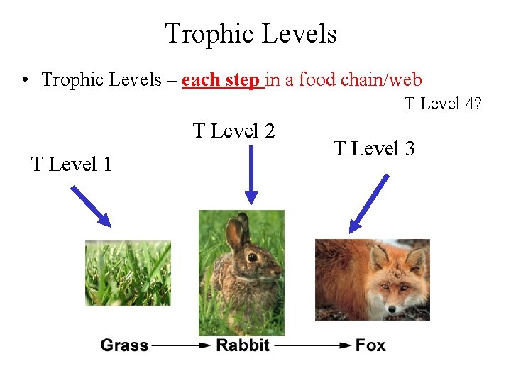 Trophic Levels • Trophic Levels – each step in a food chain/web T Level