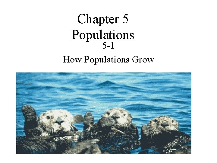 Chapter 5 Populations 5 -1 How Populations Grow 