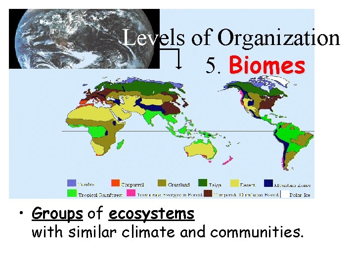Levels of Organization 5. Biomes • Groups of ecosystems with similar climate and communities.