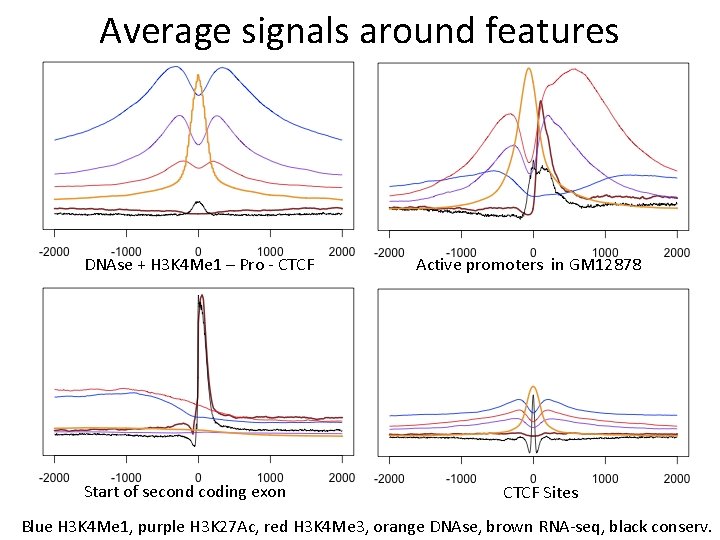 Average signals around features DNAse + H 3 K 4 Me 1 – Pro