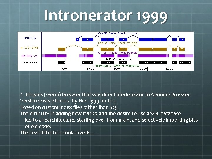 Intronerator 1999 C. Elegans (worm) browser that was direct predecessor to Genome Browser Version