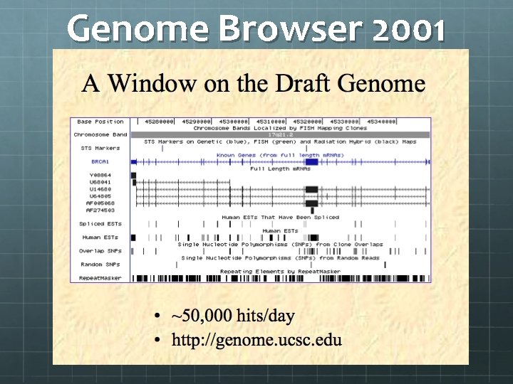 Genome Browser 2001 