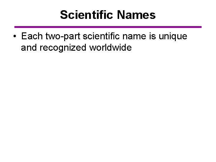 Scientific Names • Each two-part scientific name is unique and recognized worldwide 