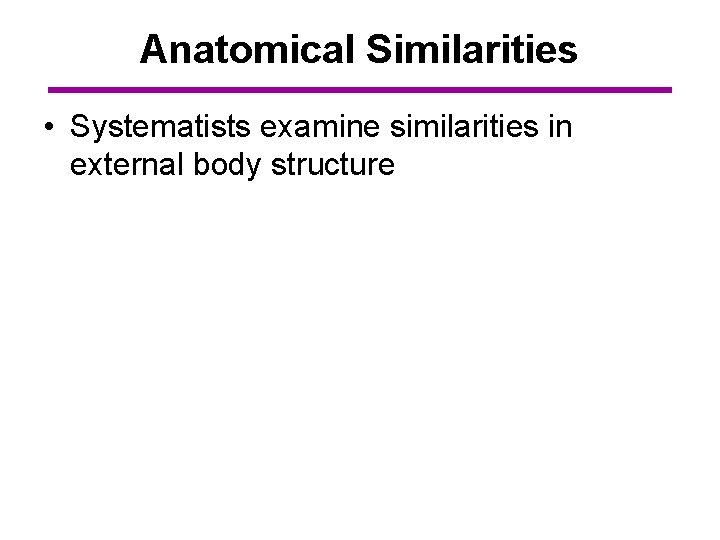 Anatomical Similarities • Systematists examine similarities in external body structure 
