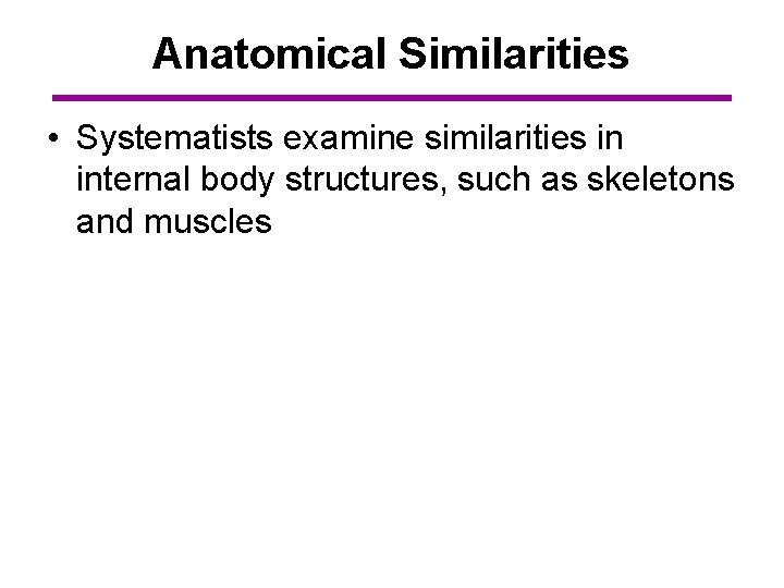 Anatomical Similarities • Systematists examine similarities in internal body structures, such as skeletons and
