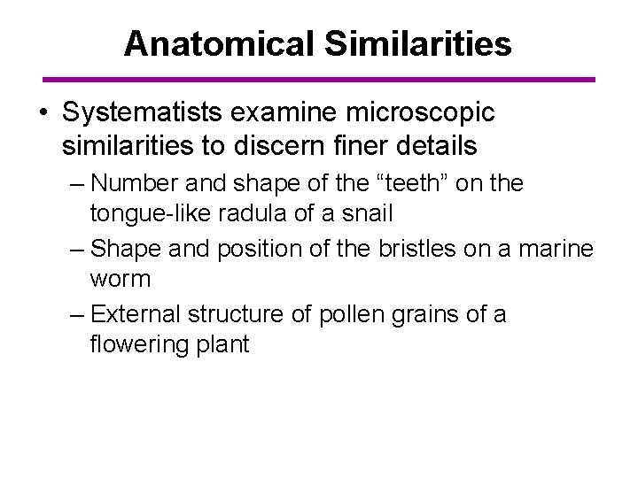 Anatomical Similarities • Systematists examine microscopic similarities to discern finer details – Number and