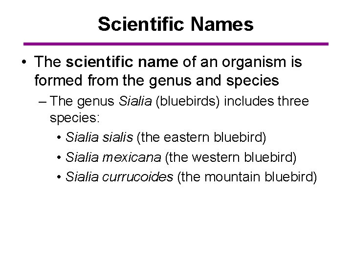 Scientific Names • The scientific name of an organism is formed from the genus