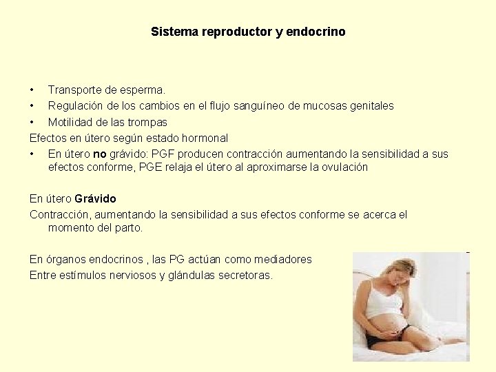 Sistema reproductor y endocrino • Transporte de esperma. • Regulación de los cambios en