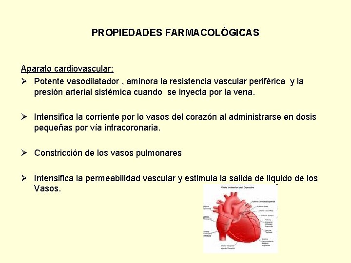 PROPIEDADES FARMACOLÓGICAS Aparato cardiovascular: Ø Potente vasodilatador , aminora la resistencia vascular periférica y