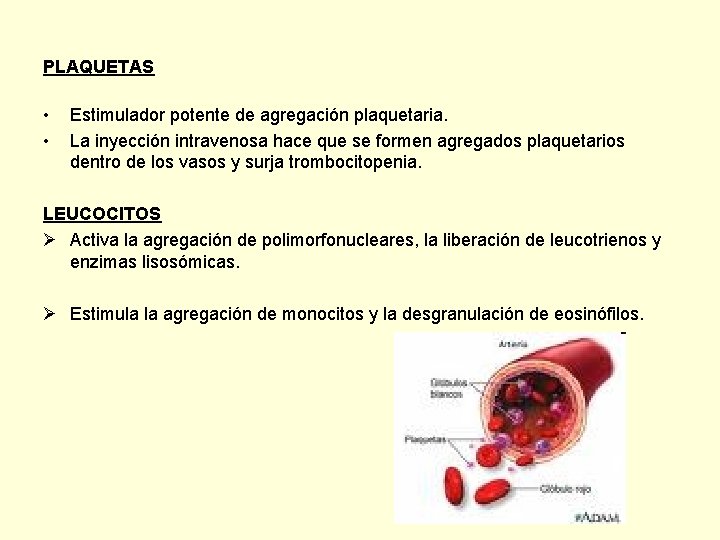PLAQUETAS • • Estimulador potente de agregación plaquetaria. La inyección intravenosa hace que se