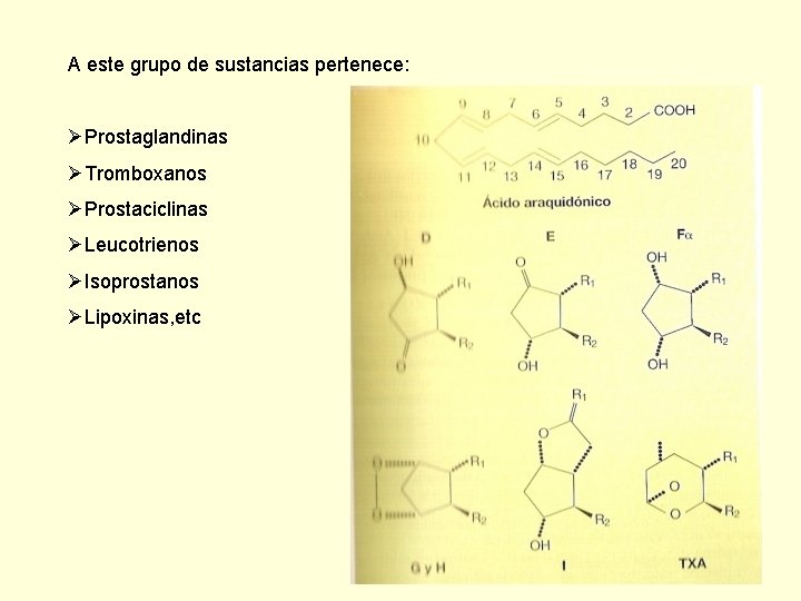 A este grupo de sustancias pertenece: ØProstaglandinas ØTromboxanos ØProstaciclinas ØLeucotrienos ØIsoprostanos ØLipoxinas, etc 