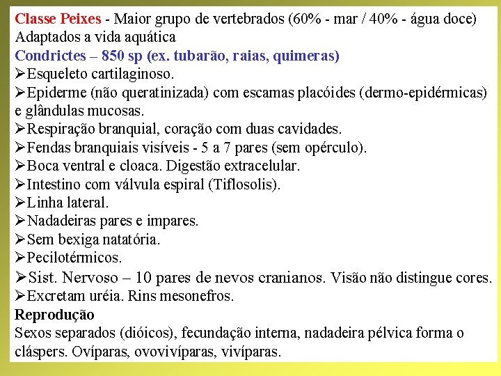 Classe Peixes - Maior grupo de vertebrados (60% - mar / 40% - água