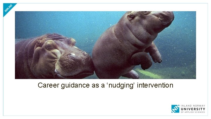 Career guidance as a ‘nudging’ intervention 