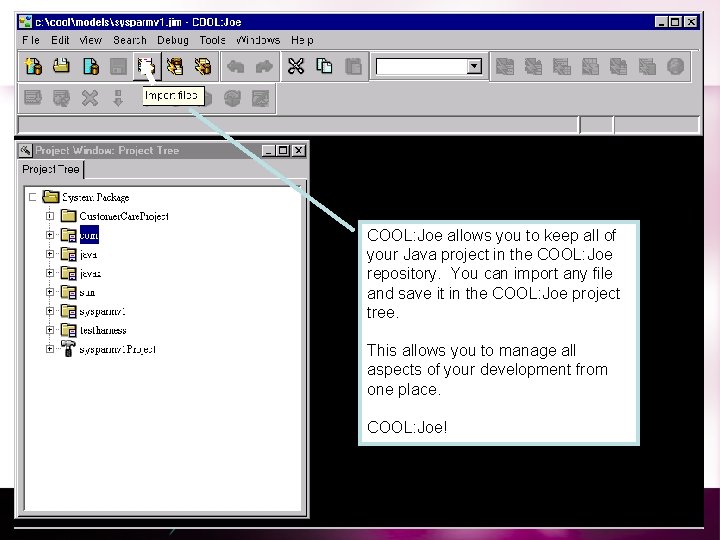 COOL: Joe allows you to keep all of your Java project in the COOL: