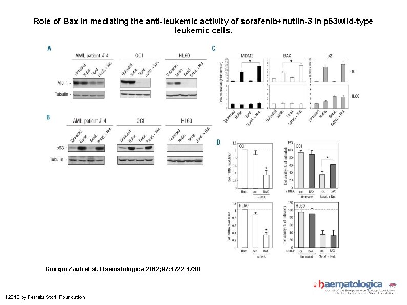 Role of Bax in mediating the anti-leukemic activity of sorafenib+nutlin-3 in p 53 wild-type