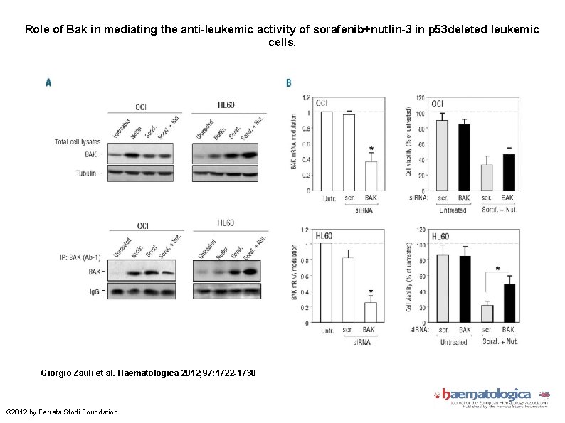 Role of Bak in mediating the anti-leukemic activity of sorafenib+nutlin-3 in p 53 deleted
