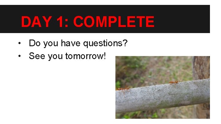 DAY 1: COMPLETE • Do you have questions? • See you tomorrow! 