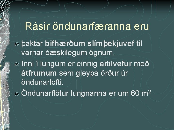 Rásir öndunarfæranna eru þaktar bifhærðum slímþekjuvef til varnar óæskilegum ögnum. Inni í lungum er