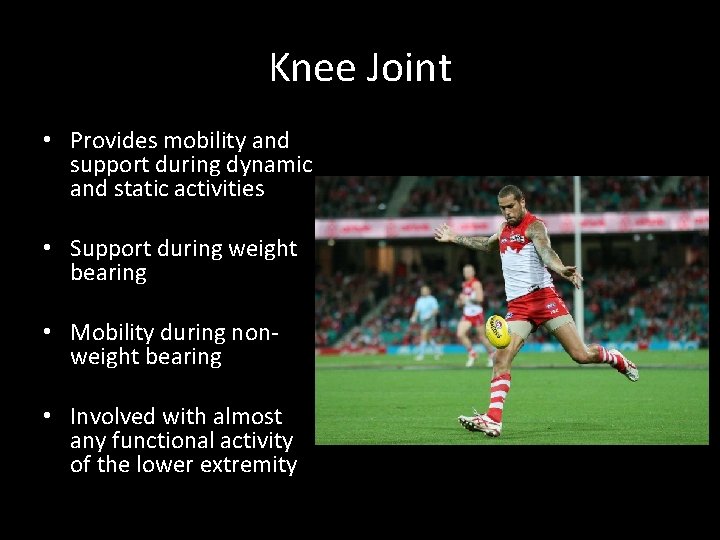Knee Joint • Provides mobility and support during dynamic and static activities • Support