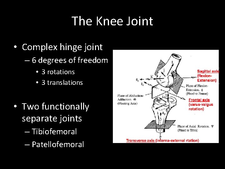The Knee Joint • Complex hinge joint – 6 degrees of freedom • 3