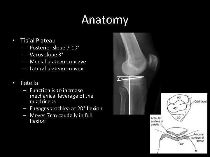 Anatomy • Tibial Plateau – – Posterior slope 7 -10° Varus slope 3° Medial