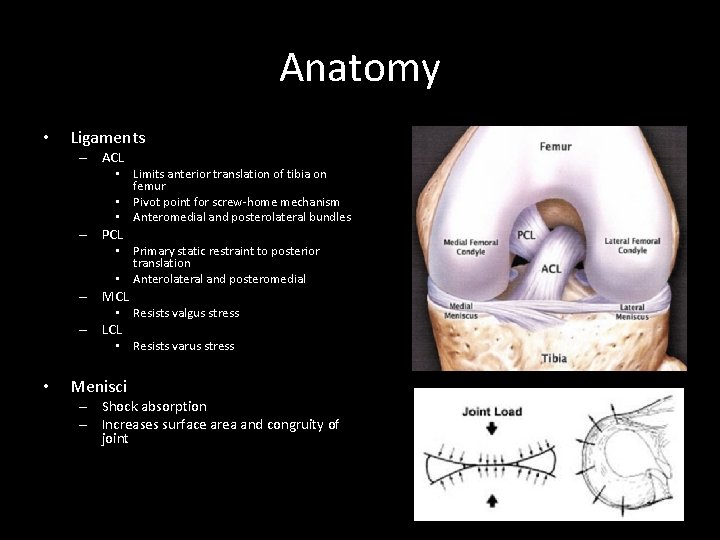 Anatomy • Ligaments – ACL • Limits anterior translation of tibia on femur •
