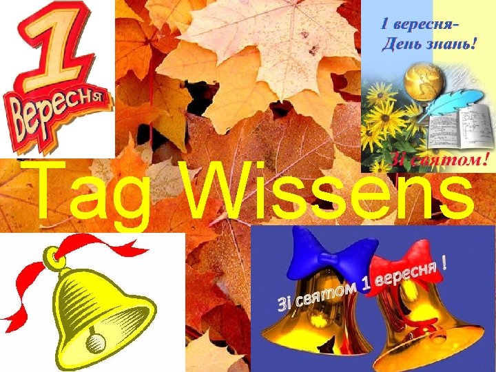 Tag Wissens 