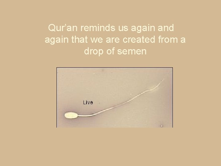 Qur’an reminds us again and again that we are created from a drop of