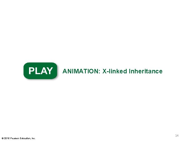 ANIMATION: X-linked Inheritance © 2015 Pearson Education, Inc. 14 