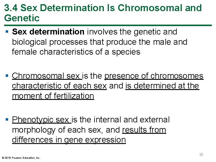 3. 4 Sex Determination Is Chromosomal and Genetic § Sex determination involves the genetic