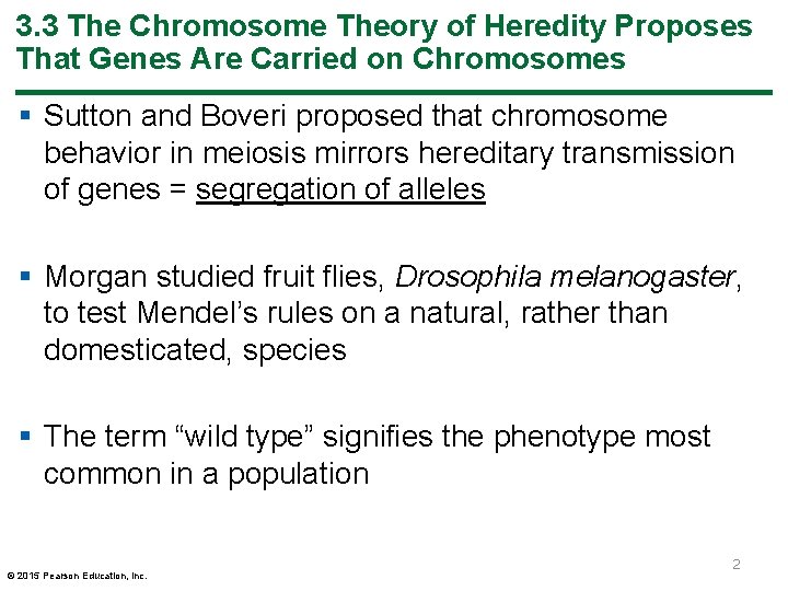 3. 3 The Chromosome Theory of Heredity Proposes That Genes Are Carried on Chromosomes