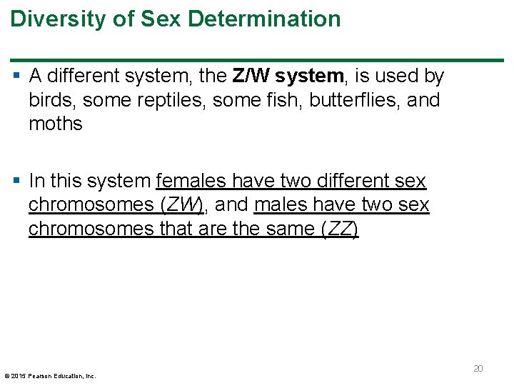 Diversity of Sex Determination § A different system, the Z/W system, is used by