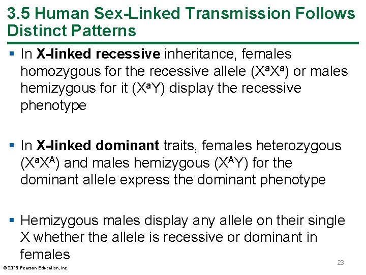 3. 5 Human Sex-Linked Transmission Follows Distinct Patterns § In X-linked recessive inheritance, females