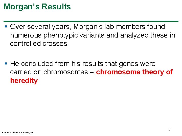 Morgan’s Results § Over several years, Morgan’s lab members found numerous phenotypic variants and