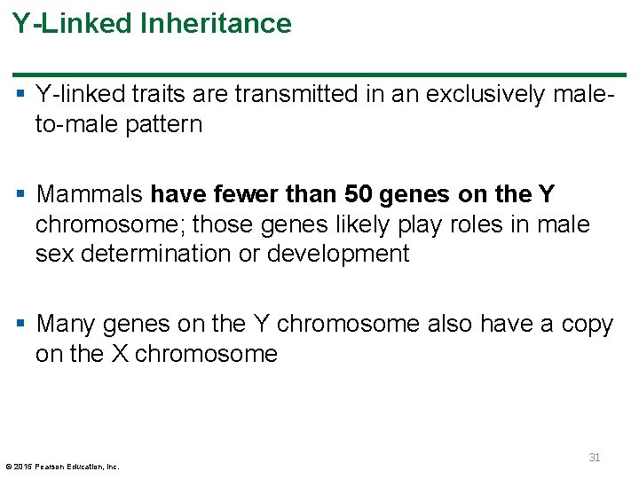 Y-Linked Inheritance § Y-linked traits are transmitted in an exclusively maleto-male pattern § Mammals